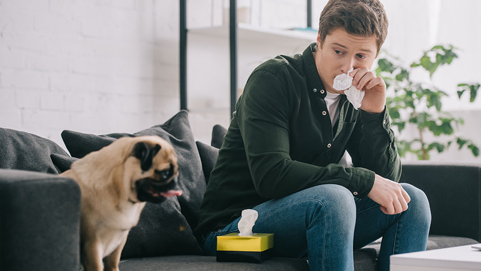 Getting an air purifier is one of the top ways to enhance your house’s indoor air quality. Find out more about the three top products. 